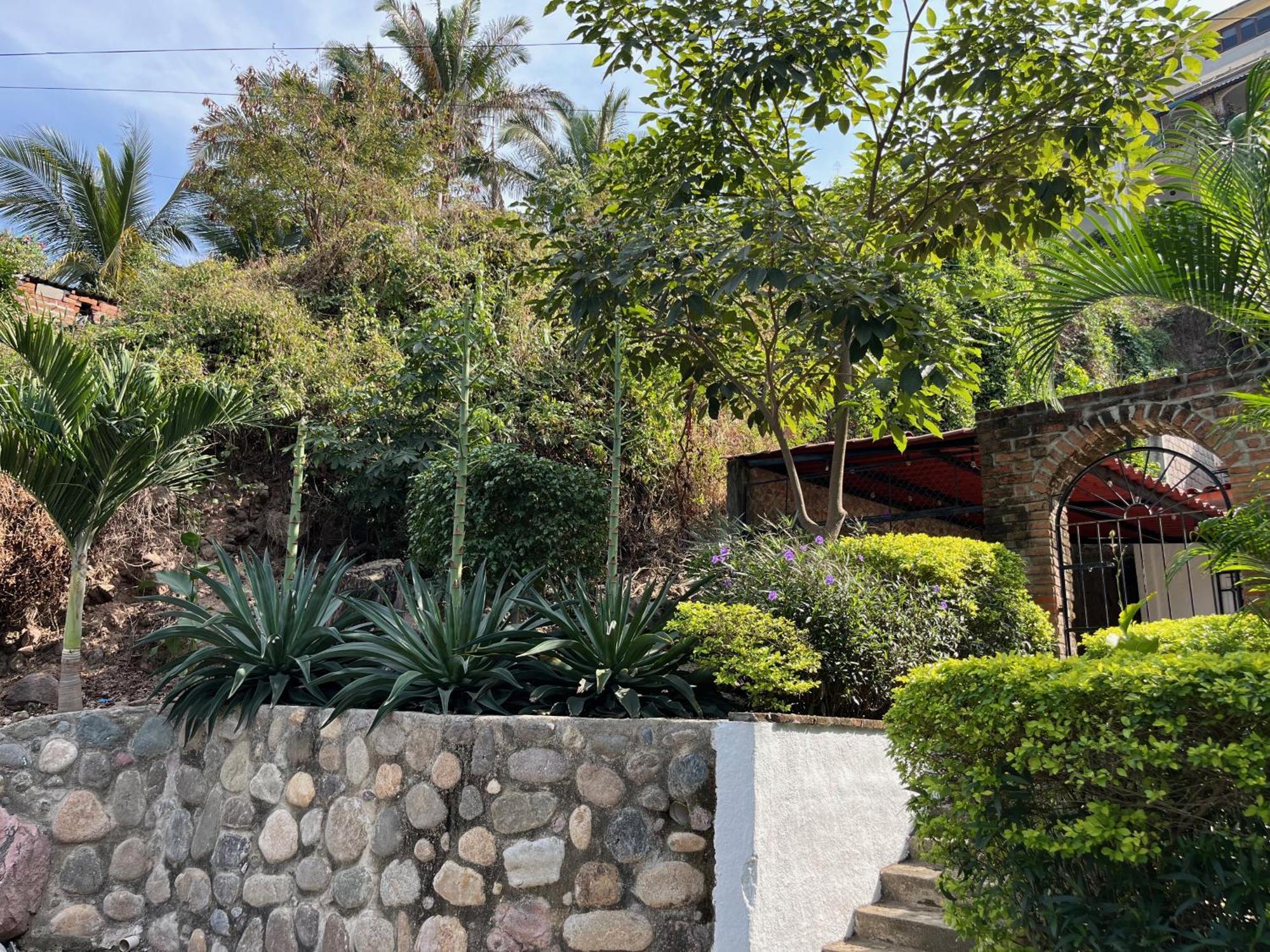 Villa Palmier -Quiet Cosy Air Conditioned Terrace Puerto Vallarta Exteriör bild